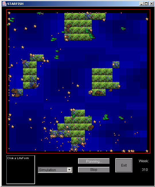 Screenshot of Simulation Running